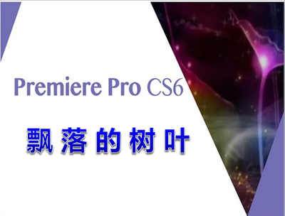 飘落的树叶
