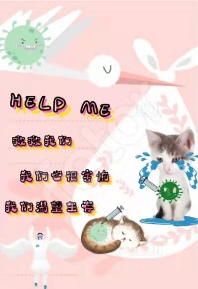 疫喵行动