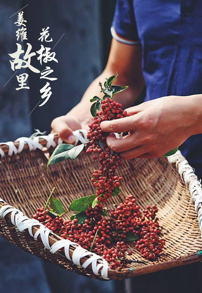 姜维故里，花椒之乡