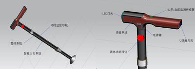 武汉城市职业学院