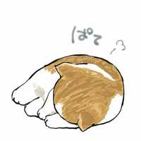 ₍˄·͈༝·͈˄*₎◞ ̑̑