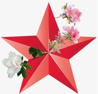 映山红下的革命