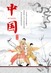 中国功夫