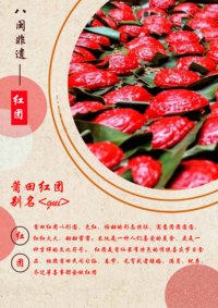 石雕技艺》 《莆田卤面》 《莆田红团》