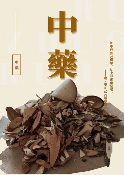 民族非遗海报