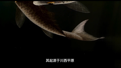 川绣