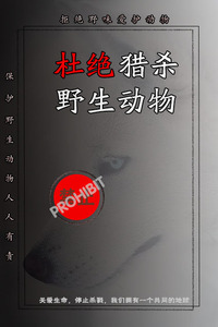 保护野生动物