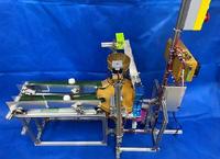 全自动颗粒罐装一体机