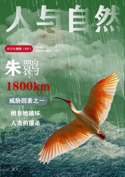人与自然