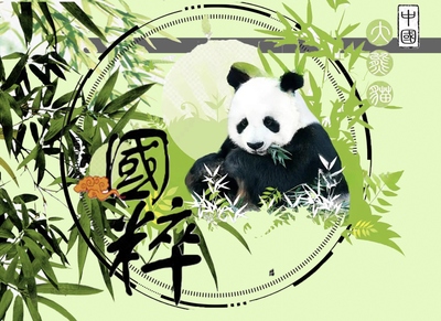 中国大熊猫