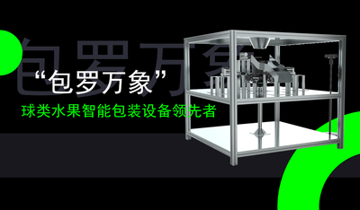 “包罗万象” 球类水果智能包装设备领先者