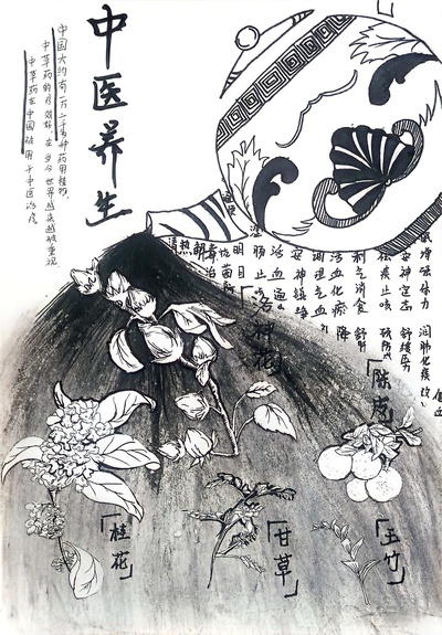 《中华民族的中医药》