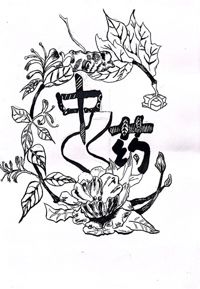 中医药文化发展