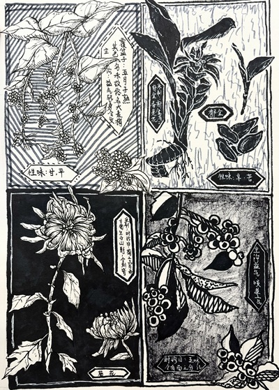 中医药与中华文化的传承