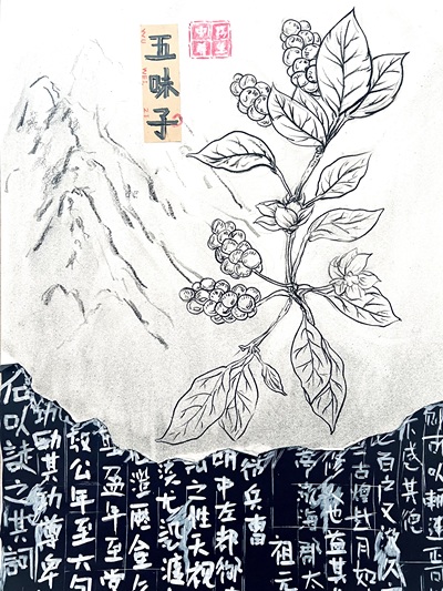 《中医养生 古法传承》