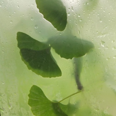 人间烟雨色