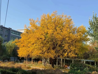 《惬意》