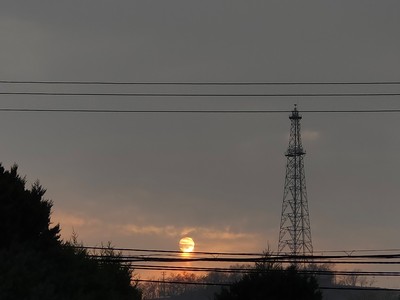 夕阳