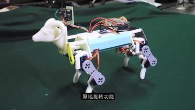 高性能仿生岩羊