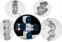 仿生自重构模块