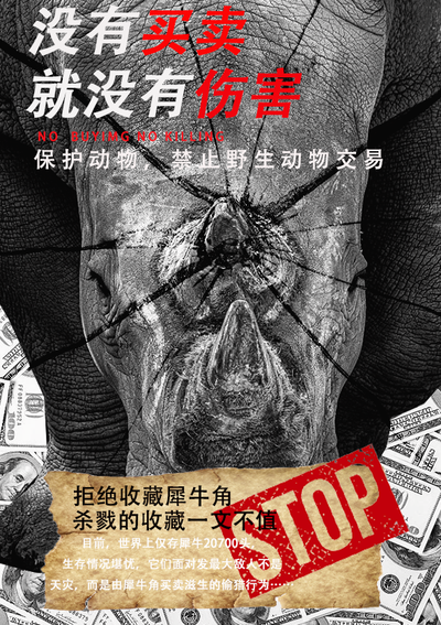 保护动物，拒绝“收藏”