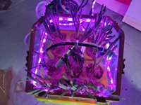 智能化农业设备——自动大棚