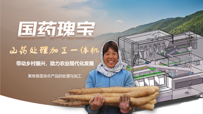 “国药瑰宝”山药处理加工一体机