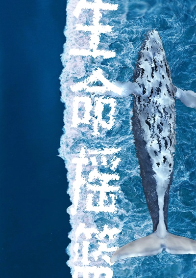 Ocean Life