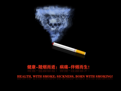 自由的飞翔
