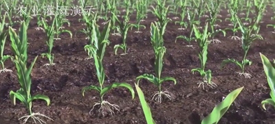 太阳能浇灌系统