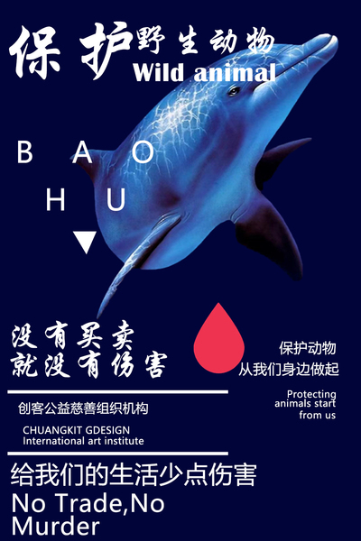 爱心护动物