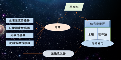 多功能创意花盆