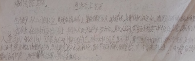 生活需要宽容