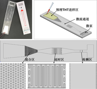 用于阿尔兹海默症快速检测的微流控生物传感器