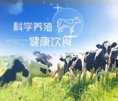 现代养牛技术