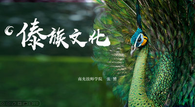 傣族文化