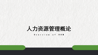 人力资源管理概论