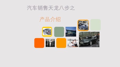 汽车营销实务