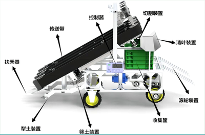 珏地而起—— 动力萝卜收获机