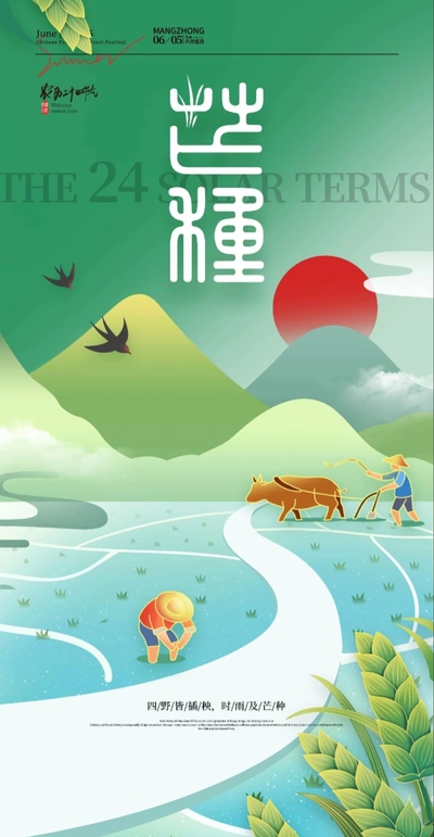 芒种