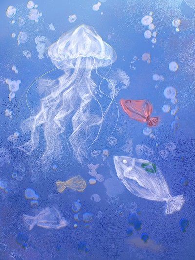寰海清
