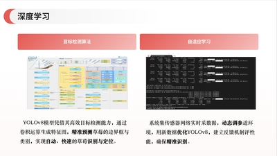 基于YOLOv8的高架草莓识别与可视化系统