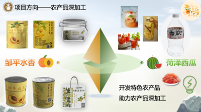 农梦诗韵---致力于打造双核三轴五片区的特色亲子农庄服务体系