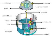绿泽智控——家庭园艺的智慧变革先锋