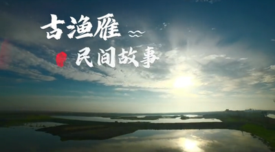 非遗古渔雁