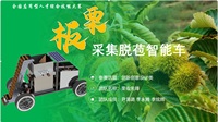 板栗采集脱苞智能车