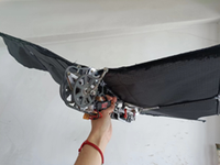 骁翼智眼——基于仿生学的鸟类迁徙智能观测扑翼机