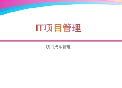 IT项目管理