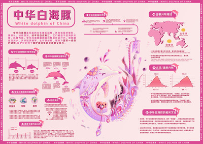 中华白海豚可视化信息海报