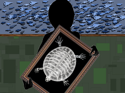 海洋生物展览